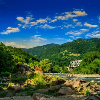 mountain river with stones and grass in the forest at the foon of mountain slope at sunrise