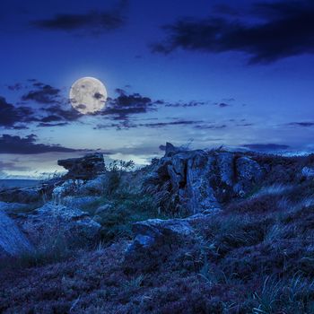 white sharp stones on the hillside at night in moon light