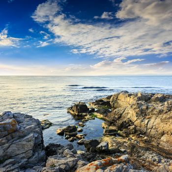 calm sea with fiev waves on coast with  boulders and seaweed