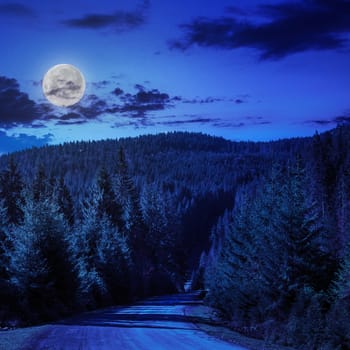 asphalt road going off into the distance on the left, passes through the green shaded forest at night in moon light