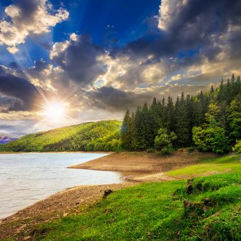 view on lake near the forest with some  pine treesat sunset on mountain background