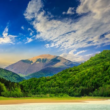 view on lake shore near the forest on mountain background  early in the morning 