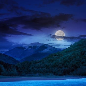 view on lake shore near the forest on mountain background at night in moon light