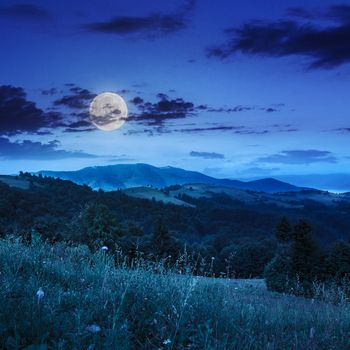 slope of mountain range with coniferous forest and valley at night in moon light