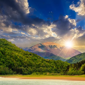 view on lake shore near the forest on mountain background at sunset