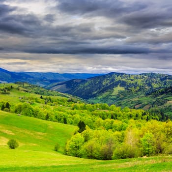 autumn landscape. forest near the meadow on the hillsideon fogy mountain background in morning time