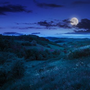 mountain summer landscape. trees near meadow on hillside under  sky with clouds at night