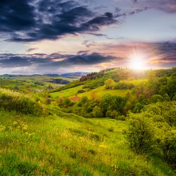 mountain summer landscape. trees near meadow on hillside under  sky with clouds at sunset