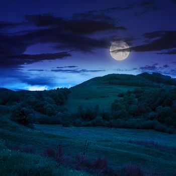 mountain summer landscape. trees near meadow and forest on hillside under night sky with clouds in moon light