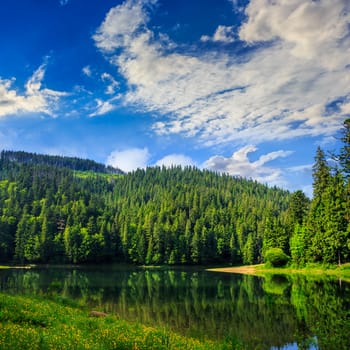 view on lake near the pine forest on mountain background  early in the morning 