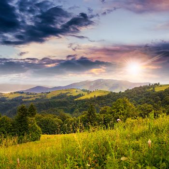 slope of mountain range with coniferous forest and valley at sunset