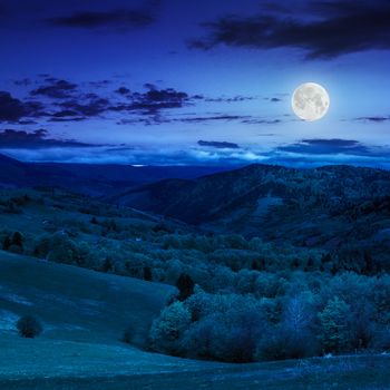 autumn landscape. forest near the meadow on the hillsideon fogy mountain background at night in moon light