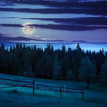 autumn landscape. fence on the hillside meadow near forest in mountain at night in moon light