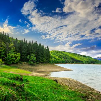 view on lake near the forest with some  pine trees early in the morning on mountain background