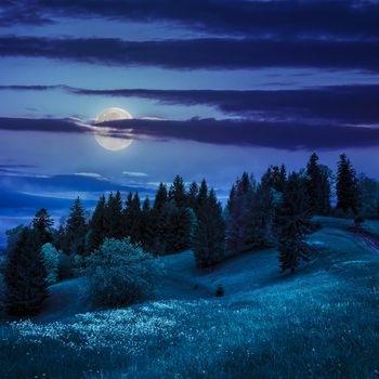 summer landscape. forest near the meadow path on the hillside with some flowers in fresh grass in mountains at night in moon light