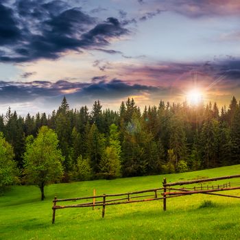 autumn landscape. fence on the hillside meadow near forest in mountain at sunset