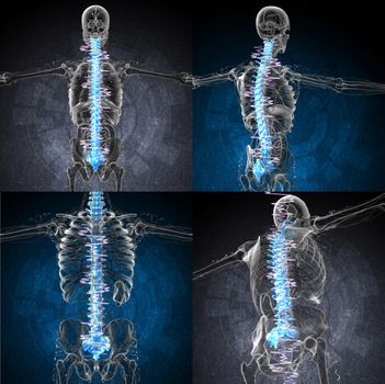 3d rendering medical illustration of the painful back 
