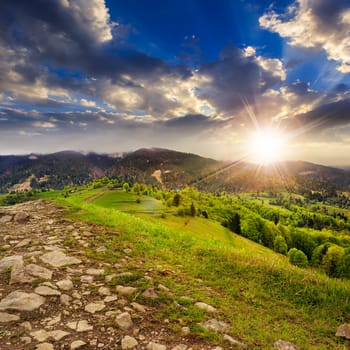 summer landscape. path  on top of the meadow on the hillside. forest in fog on the mountain at sunset