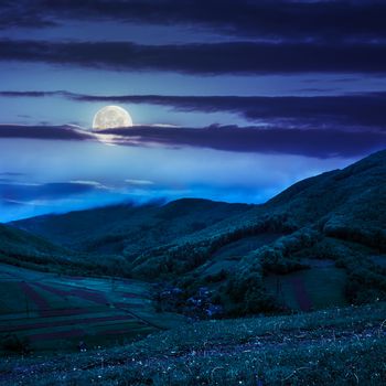 summer landscape. village on the hillside. forest in fog on the mountain top at night in moon light