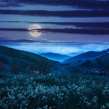 summer landscape. yellow flowers on the meadow hillside. village near forest in fog on the mountain at night in moon light