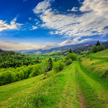 summer landscape. meadow path on the hillside. forest in fog on the mountain.