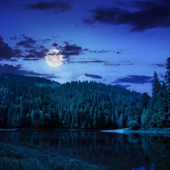 view on lake near the pine forest on mountain background