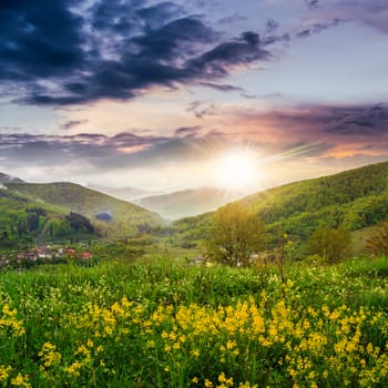 summer landscape. yellow flowers on the meadow hillside. village near forest in fog on the mountain at sunset