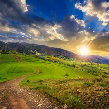 summer landscape. path on the hillside meadow. forest in fog on the mountain. at sunset