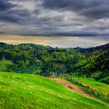 summer landscape. fence near the meadow path on the hillside. forest in fog on the mountain on cloudy day