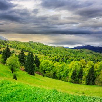 slope of mountain range with coniferous forest and village