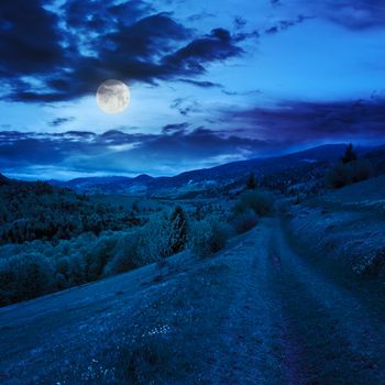 summer landscape. meadow path on the hillside. forest in fog on the mountain at night in moon light