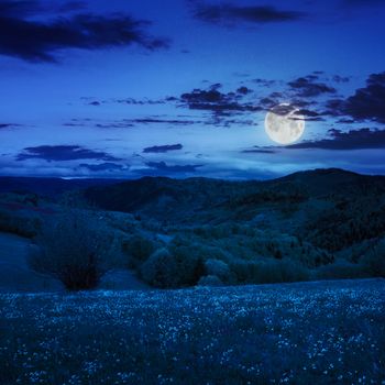 summer landscape. village on the hillside near mountain forest at night in moon light