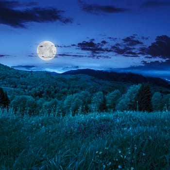 mountain summer landscape. pine trees near meadow and forest on hillside under  sky with clouds at night in moon light