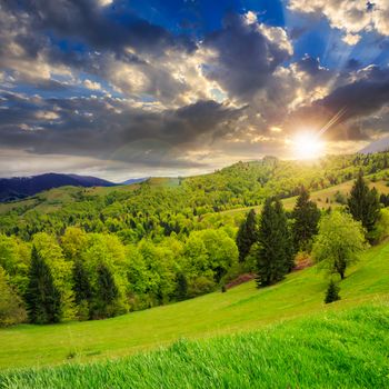 slope of mountain range with coniferous forest and village at sunset