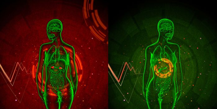 3d rendering medical illustration of the adrenal 