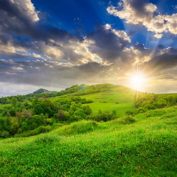 mountain summer landscape. trees near meadow and forest on hillside under  sky with clouds at sunset