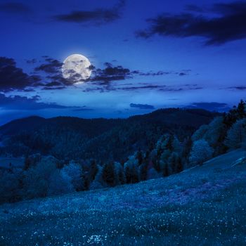 mountain summer landscape. pine trees near meadow and forest on hillside under  sky with clouds at night in moon light