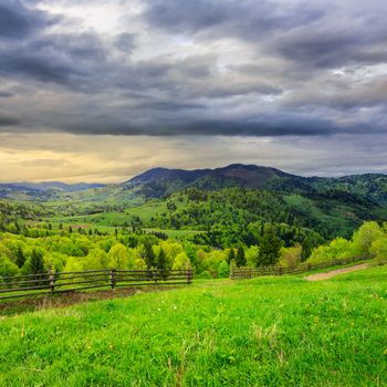 summer landscape. fence near the meadow path on the hillside. forest in fog on the mountain in morning time