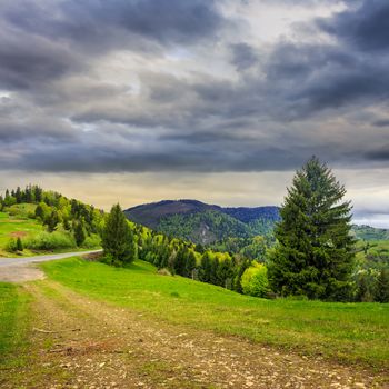 asphalt road going down the hill and up in to mountains, passes through the green shaded forest in bad rainy weather