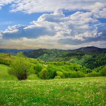 summer landscape. village on the hillside near mountain forest in the morning