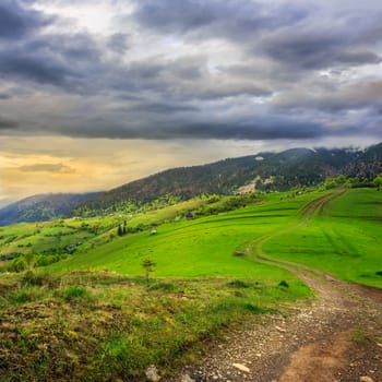 summer landscape. path on the hillside meadow. forest in fog on the mountain.