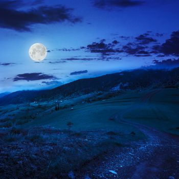 summer landscape. path on the hillside meadow. forest in fog on the mountain. at night in moon light