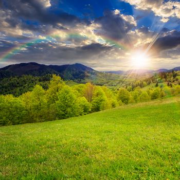 summer landscape. rainbow ower the green grass on  hillside meadow. forest in fog on the mountain at sunset