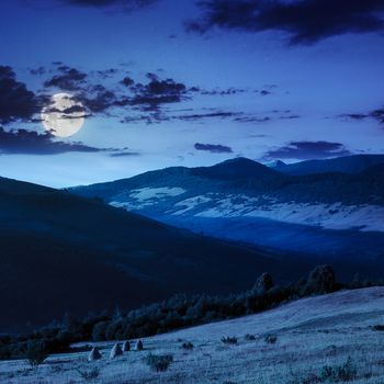 cold fog on meadow with grass and flowers in the mountains near the forest at night in moon light