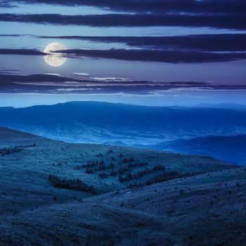 slope of mountain range with coniferous forest at night in moon light