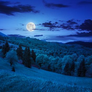 slope of mountain range with coniferous forest and village at night in moon light