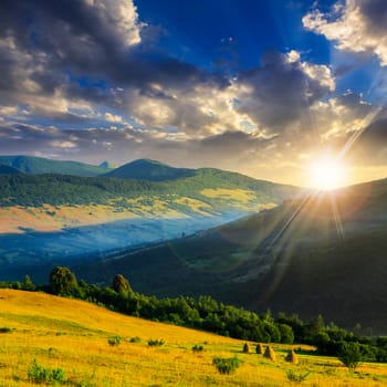 cold fog on meadow with grass and flowers in the mountains near the forest at sunset