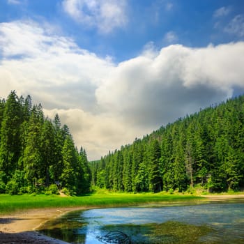 view on lake near the pine forest on mountain background