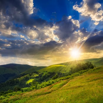 mountain summer landscape. forest  near meadow  on hillside under  sky with clouds at sunset