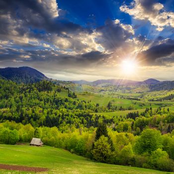 summerlandscape.  meadow and trees on the hillside. forest in fog on the mountain at sunset